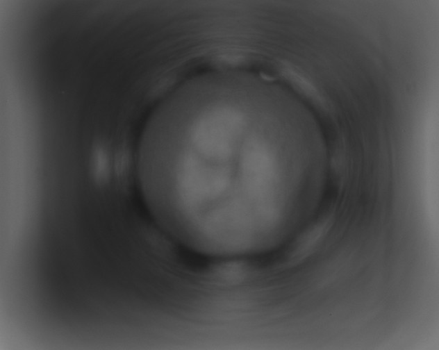 X0000100920079200807081200