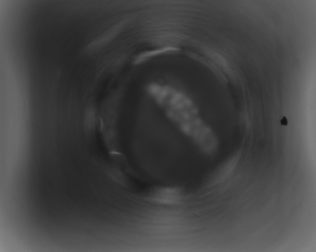 X0000100920081200807081200