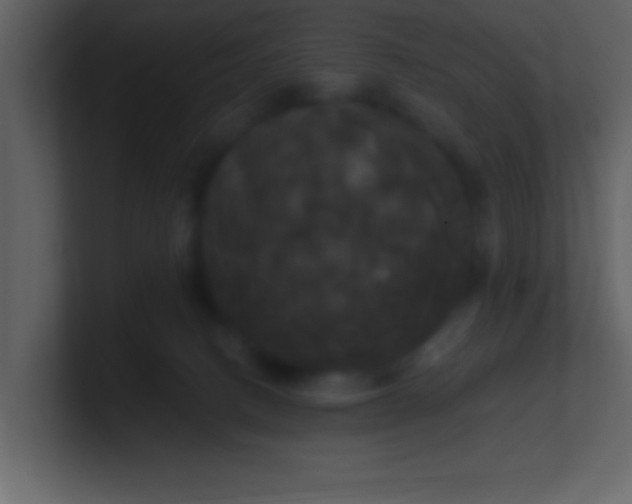 X0000100920082200807081200