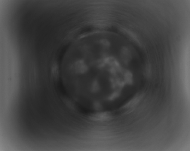 X0000100920086200807081200