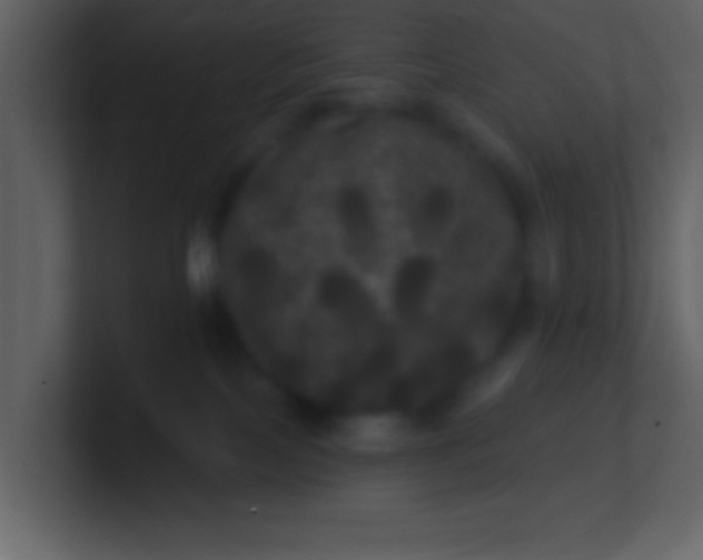 X0000100920089200807081200