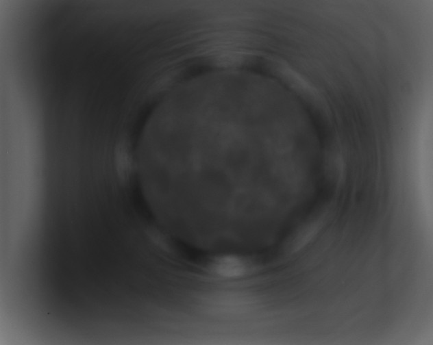 X0000100920091200807081200