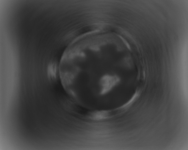 X0000100920094200807081200