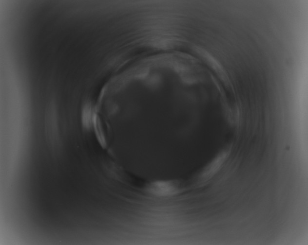 X0000100920095200807081200