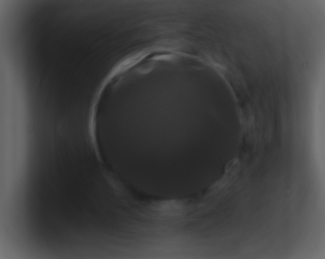 X0000100920100200807081200