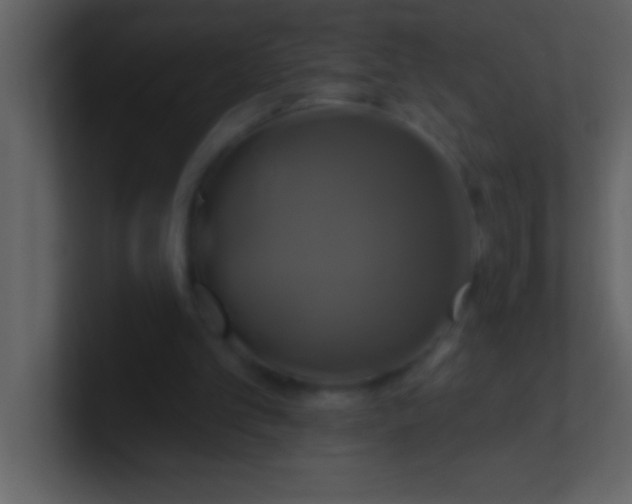 X0000100920101200807081200