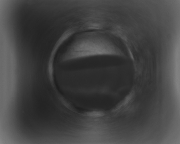 X0000100920102200807081200