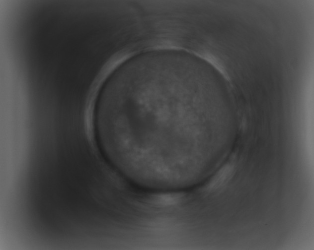 X0000100920103200807081200