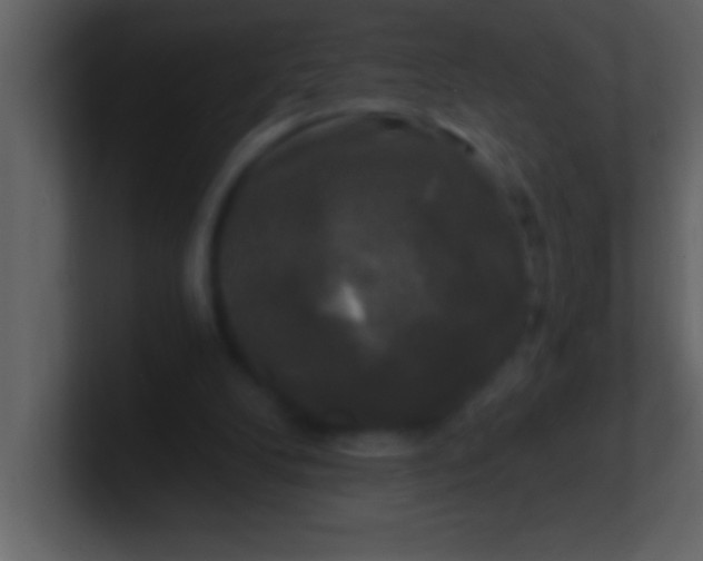 X0000100920104200807081200