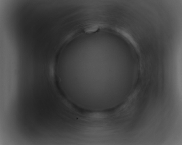 X0000100920105200807081200