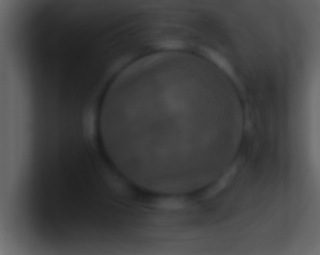 X0000100920106200807081200