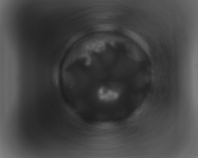 X0000100920107200807081200