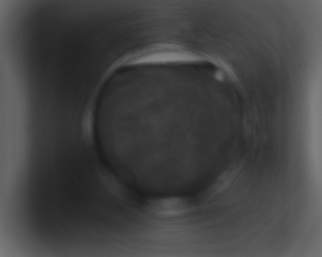 X0000100920108200807081159