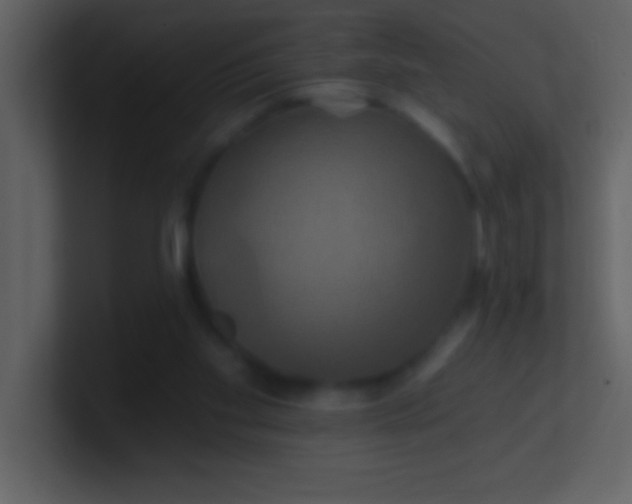 X0000100920109200807081159