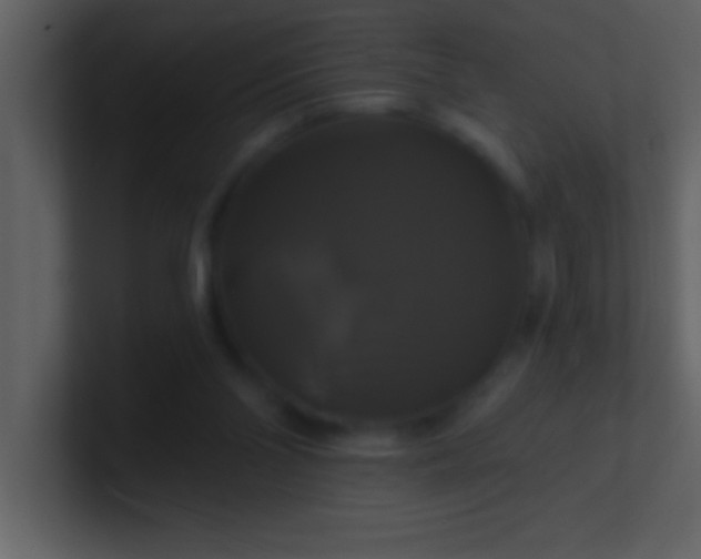 X0000100920110200807081159