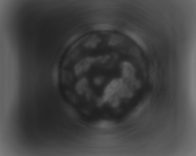 X0000100920111200807081159