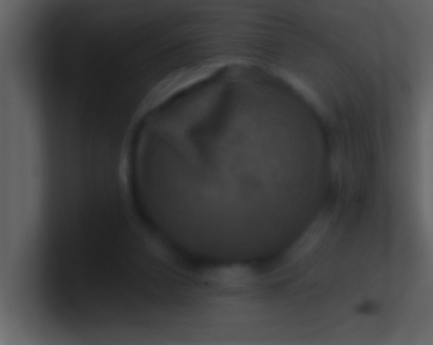 X0000100920112200807081159