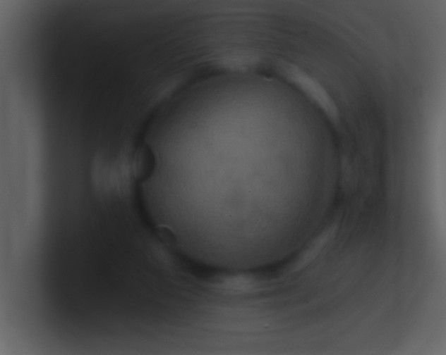 X0000100920113200807081159