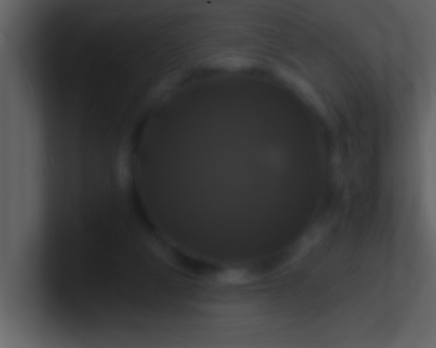 X0000100920114200807081159