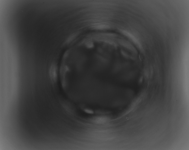 X0000100920115200807081159