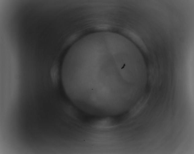 X0000100920116200807081159