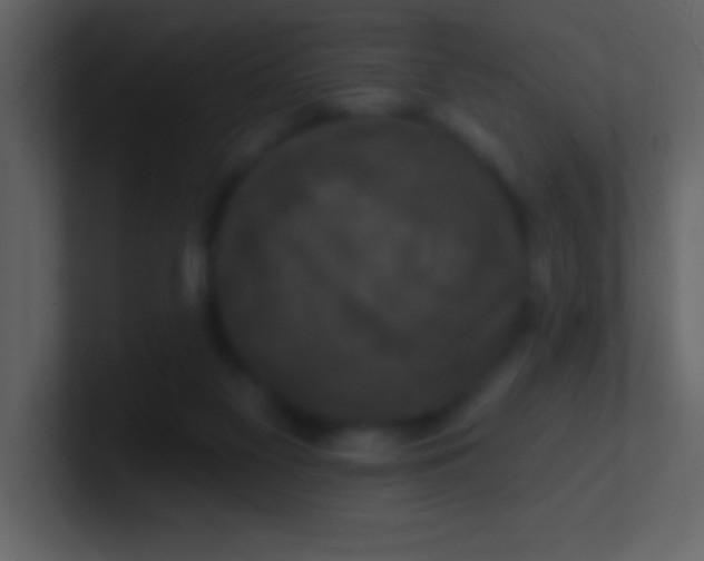 X0000100920117200807081159