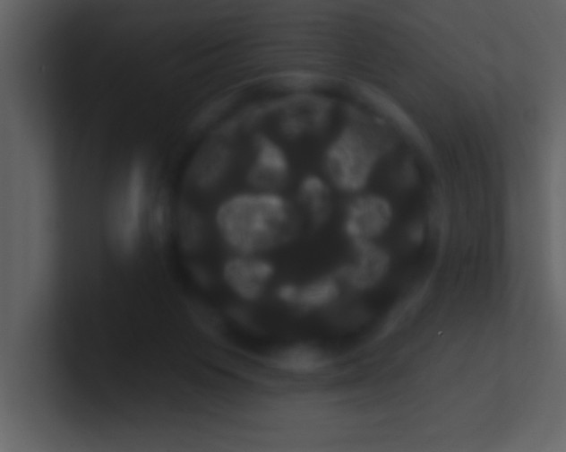 X0000100920119200807081159