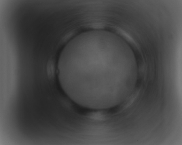 X0000100920120200807081159