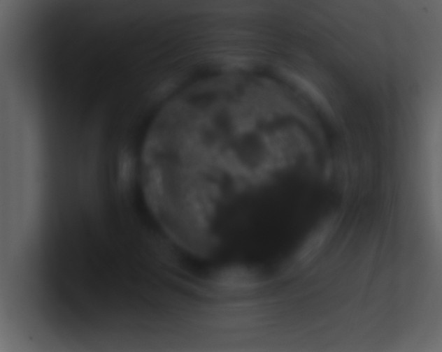 X0000100920123200807081159