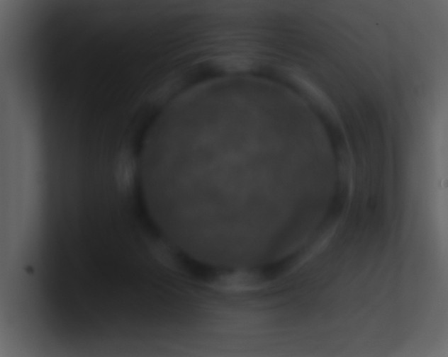 X0000100920125200807081159