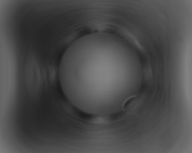 X0000100920126200807081159