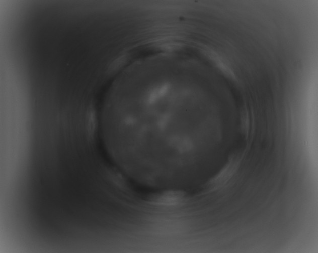 X0000100920128200807081159