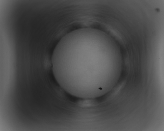 X0000100920129200807081159