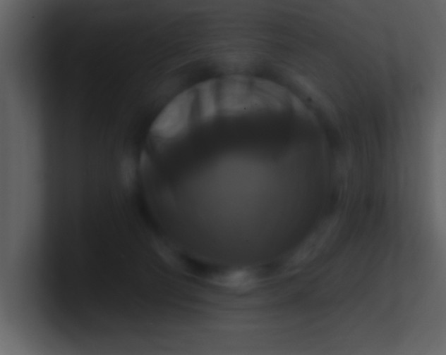 X0000100920130200807081159