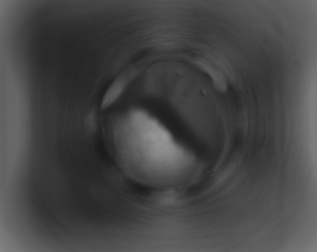 X0000100920131200807081159