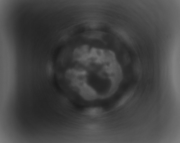 X0000100920135200807081159