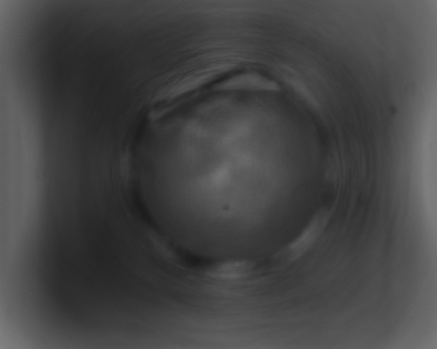 X0000100920136200807081159