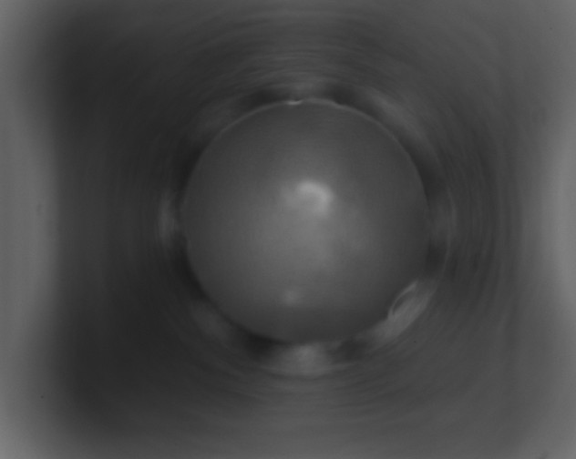 X0000100920140200807081159