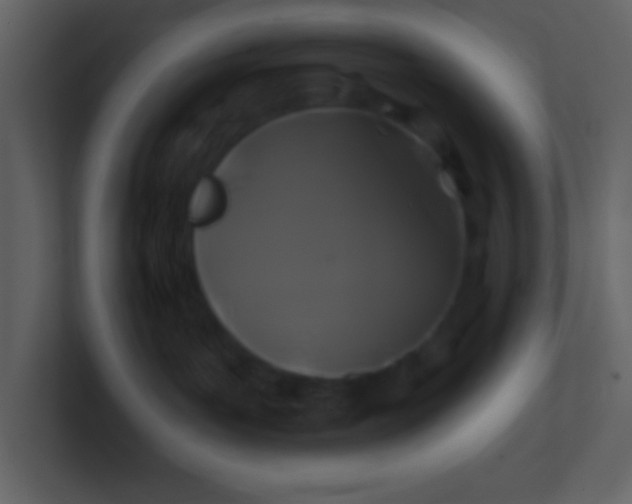 X0000100920143200807081159