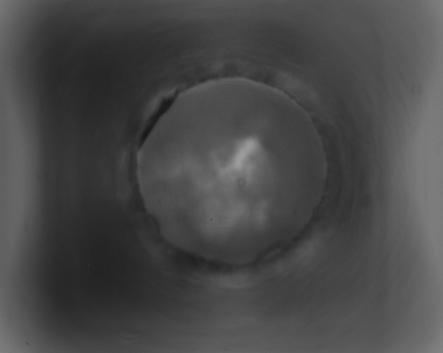 X0000100920144200807081159