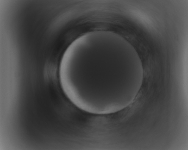 X0000100920146200807081158