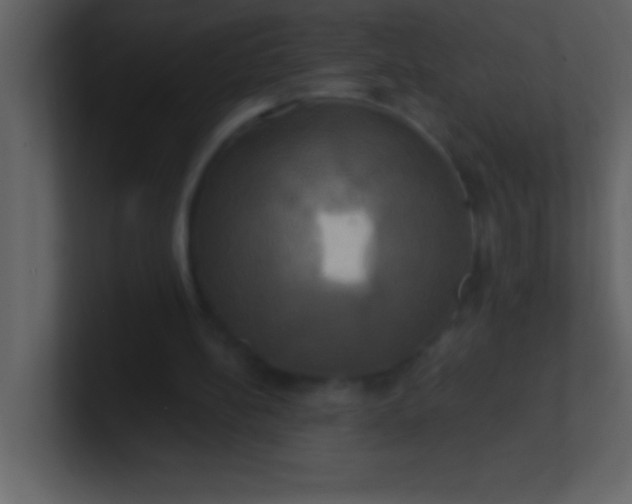 X0000100920148200807081158