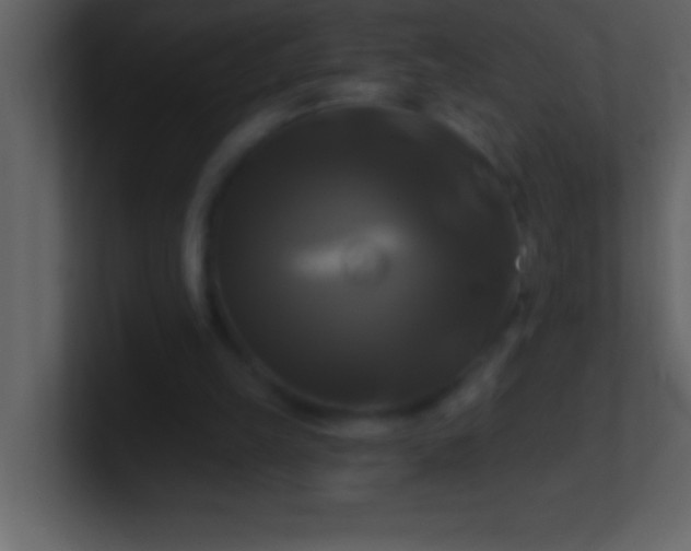 X0000100920149200807081158