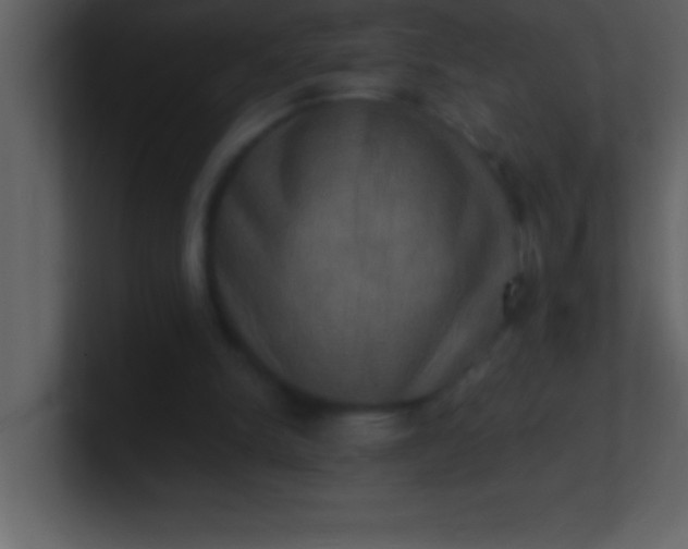 X0000100920150200807081158