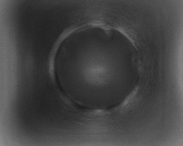 X0000100920151200807081158