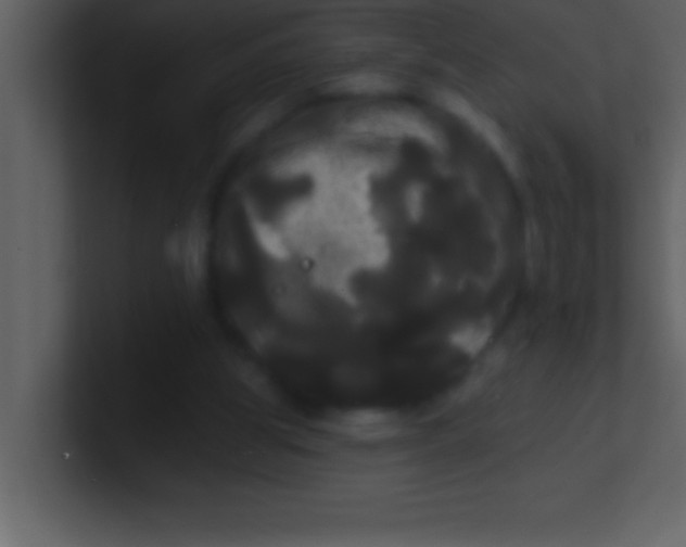 X0000100920153200807081158