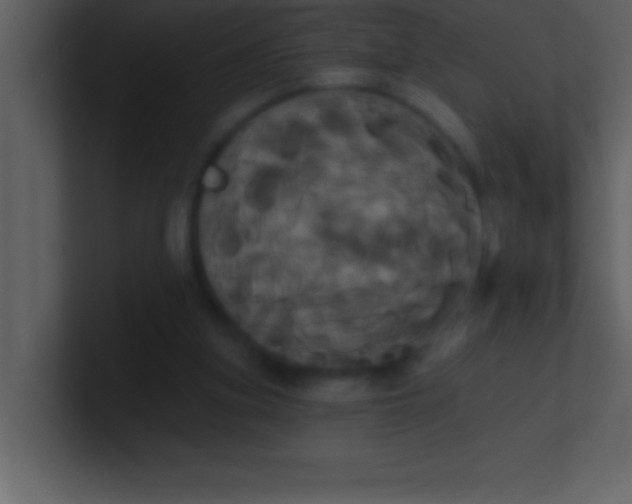 X0000100920155200807081158