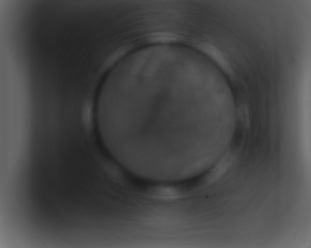 X0000100920159200807081158