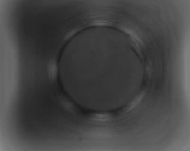 X0000100920160200807081158