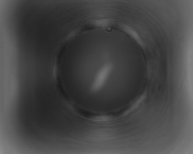 X0000100920161200807081159